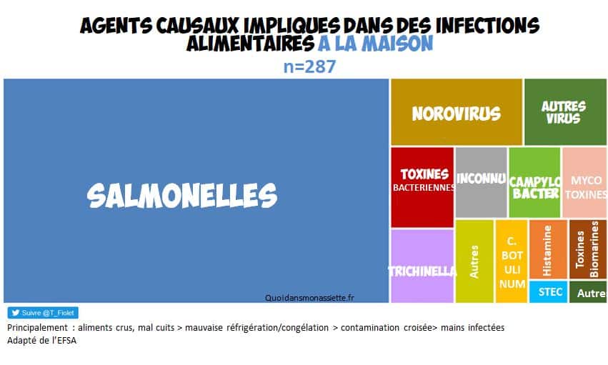 agents causaux des intoxications alimentaires chez la personne âgée