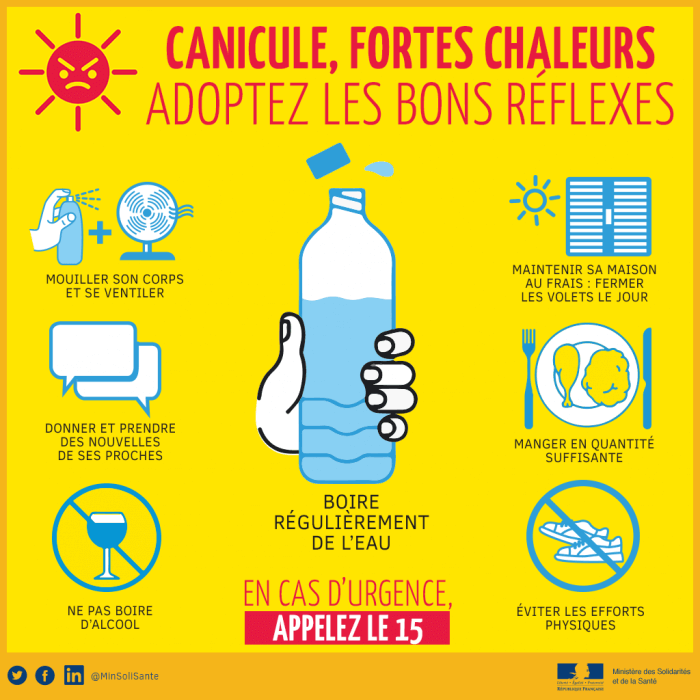 Canicule : les bons réflexes