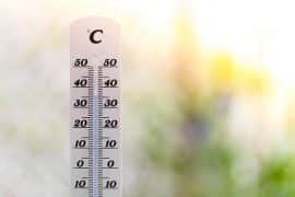 Tout savoir sur la canicule