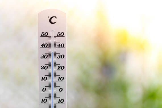 Tout savoir sur la canicule