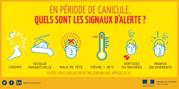 Infographie présentant les signaux d'alerte à surveiller lors d'une canicule