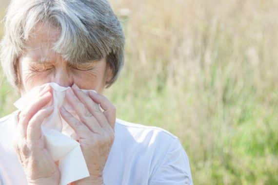 Prévenir les allergies
