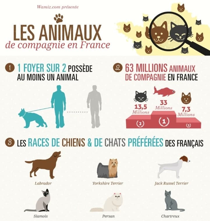 chiffres animaux de compagnie en France