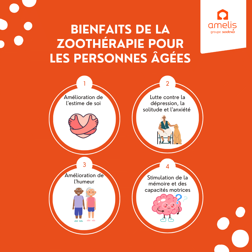 Infographie sur les bienfaits de la zoothérapie pour les personnes âgées