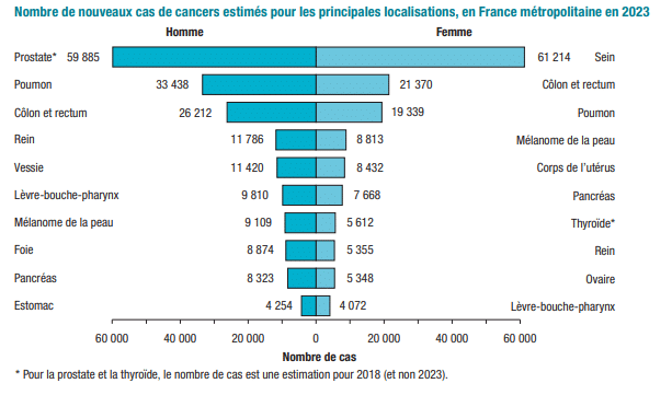 Une infographie présentant les principaux cancer en france
