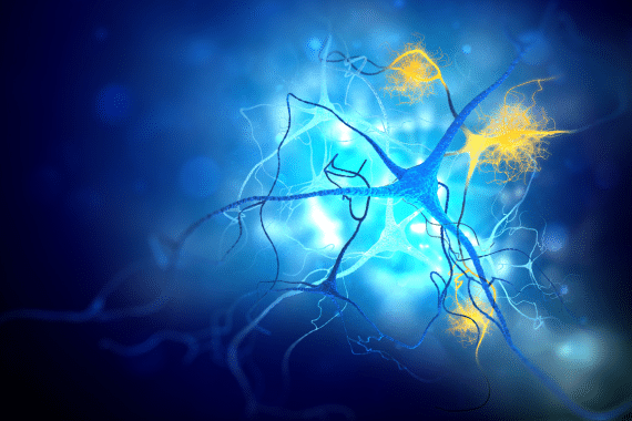 Le syndrome de Korsakoff (« SWK ») est une maladie neurodégénérative causée par une grave carence en thiamine